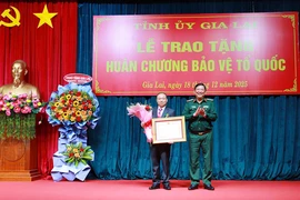 Bí thư Tỉnh ủy Gia Lai nhận Huân chương Bảo vệ Tổ quốc hạng Ba