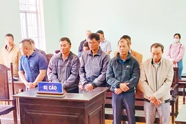3 nhân viên bảo vệ rừng nhận tiền để cho khai thác rừng trái phép