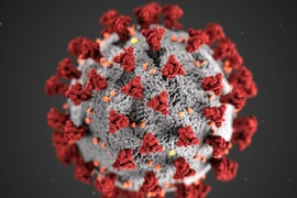 Ảnh minh họa cấu trúc của virus SARS-CoV-2. Ảnh: NPR