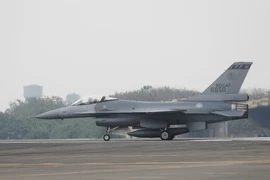 Chiếc F-16V mang số hiệu 6650 tại căn cứ quân sự thuộc TP Gia Nghĩa hôm 11-1. Ảnh: EPA