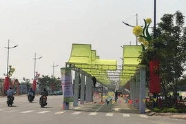 Lần đầu tiên Bình Chánh tổ chức đường hoa