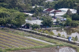 Huyện Bình Chánh được chuyển hơn 1.300ha đất nông nghiệp sang phi nông nghiệp