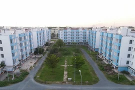TP.HCM: Gần 11.700 căn hộ, nền đất thuộc sở hữu nhà nước chưa sử dụng