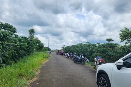 Vừa ra tù 2 ngày thì tử vong trong vườn cà phê, bên cạnh có kim tiêm