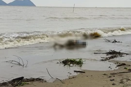 Thi thể 1 phụ nữ mặc áo có chữ ‘A di đà Phật’ dạt vào bờ biển Hà Tĩnh
