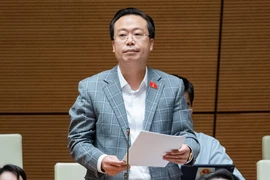 ĐB Nguyễn Đại Thắng (Đoàn ĐBQH tỉnh Hưng Yên) phát biểu tại phiên thảo luận chiều 31-10. Ảnh: QH