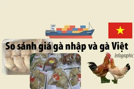 Giá gà không đầu, không chân nhập khẩu khác gà Việt ra sao?