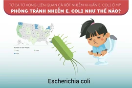 Từ ca tử vong liên quan cà rốt nhiễm khuẩn ở Mỹ, phòng tránh nhiễm E.Coli thế nào?
