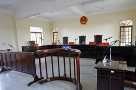 TAND Tối cao công bố thêm bốn án lệ mới