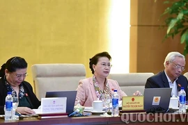 'Cháy nhiều như thế, Quốc hội không thể im ru'
