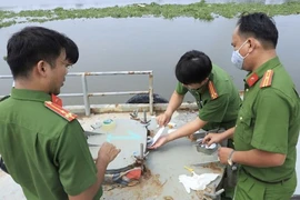Nghiêm trị cán bộ 'bảo kê', bao che cho hoạt động phạm tội kinh tế, buôn lậu