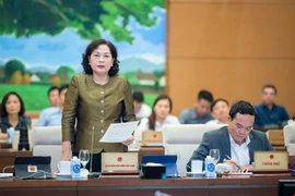 'Trên hồ sơ, sở hữu chéo giữa các ngân hàng đã được khắc phục'
