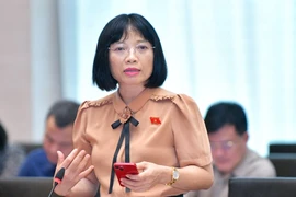 Nhiều đại biểu Quốc hội không ủng hộ việc đổi tên tòa án