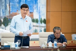 'Lũng đoạn, thổi giá đất đai... khiến việc mua bán chỉ diễn ra trong giới đầu cơ'