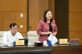 Bà Lê Thị Nga: Nguồn luật sư công khó bảo đảm tính khả thi