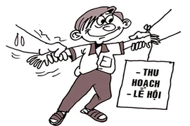 Nghỉ học không đợi hè