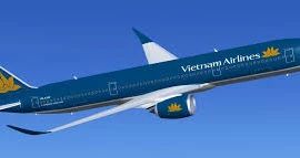 Tiếp viên Vietnam Airlines bị bắt tại Nhật Bản
