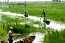 Bị thu hồi đất ở, được bồi thường bằng đất hoặc tiền