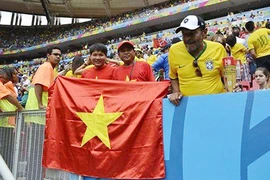 Về hình ảnh lá cờ Việt Nam trong trận Pháp - Nigeria