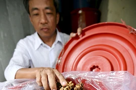  Bài 2: Về thủ phủ cà phê nghe huyền thoại chồn