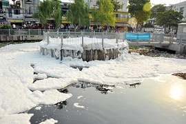 Cá chết, lộ điểm yếu dự án Nhiêu Lộc - Thị Nghè