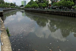 Kênh Nhiêu Lộc - Thị Nghè: Cá và rác thi nhau nổi 