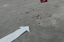 Bắt nghi can truy sát, giết người dã man