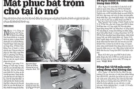 Một phương án hay để chặn tận gốc nạn trộm chó