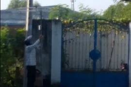 Tận diệt chim sẻ giữa lòng TP Biên Hòa