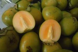 Nhiều người nhập viện vì ăn hồng giòn