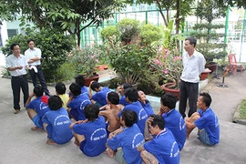 Trước tết, không còn người nghiện lang thang! 
