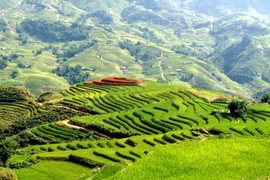 Nghe chê thì đừng giẫy nẩy lên