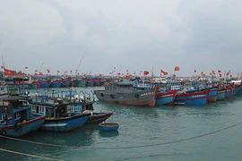 Có thêm 25 tàu cá được đóng mới theo Nghị định 67