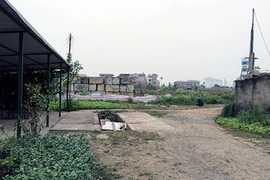 Sập bẫy vì tin ‘mác’ ĐBQH của bà Nga