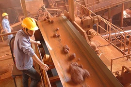 ‘Nhiều đánh giá về dự án bauxite chưa chính xác’