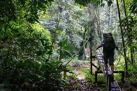 Hang Nai: Bài học du lịch xanh từ Malaysia