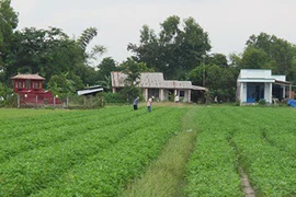 Chuyển công năng ‘hầm đất ‘khủng’ giữa khu dân sinh’