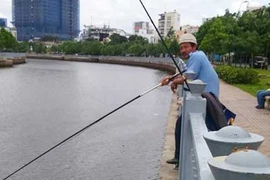 Thà bẻ cần còn hơn câu bên bảng cấm