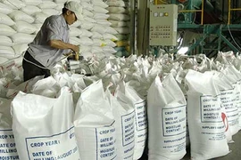 Xuất khẩu gạo sang TQ như ‘đánh bạc’