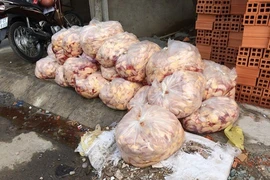 Tiêu hủy gần 2.300 kg thịt và phụ phẩm bò, gà thối