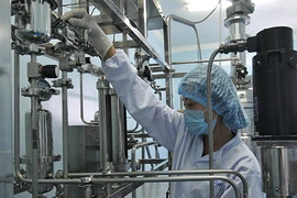 TP.HCM trả lương cực cao với nhân tài