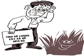 Cây nào cũng là cây?