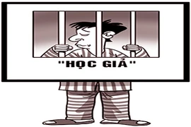 Lãnh án vì... tìm cách vào đại học