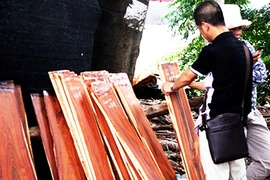 Bán cả ‘rừng non’ cho Trung Quốc