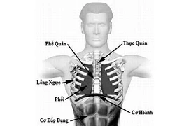 Làm sao có thêm trái tim phòng hờ?