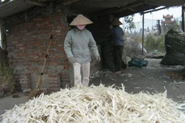 Phân bón công nghệ cao từ… lông gà, lông vịt