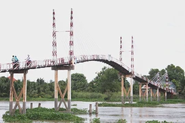 Cầu dây văng không phép chờ… sập