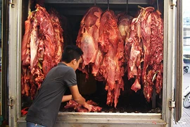 Cho luộc một tấn thịt bò bơm nước 