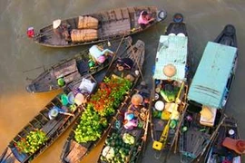 Năm du lịch quốc gia ‘Khám phá đất phương Nam’