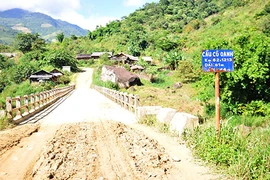 Hơn cả tượng đài